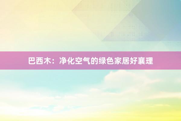 巴西木：净化空气的绿色家居好襄理