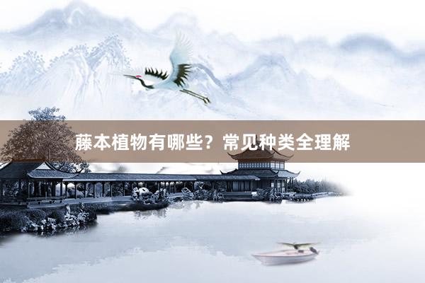藤本植物有哪些？常见种类全理解