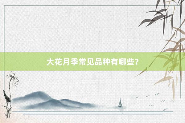 大花月季常见品种有哪些？