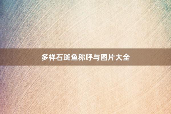 多样石斑鱼称呼与图片大全